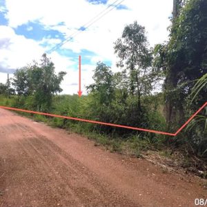 01 ที่ดินว่างเปล่า | สระแก้ว วัฒนานคร ผักขะ | 01-88-12481