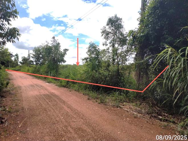 Real Estate from Banks _photo