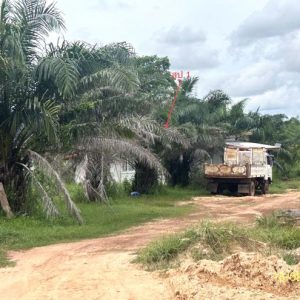 02 บ้านเดี่ยว | มุกดาหาร หว้านใหญ่ บางทรายน้อย | 02-88-17432