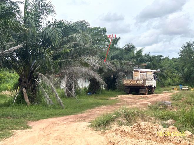 02 บ้านเดี่ยว | มุกดาหาร หว้านใหญ่ บางทรายน้อย | 02-88-17432