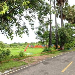 01 ที่ดินว่างเปล่า | บุรีรัมย์ ลำปลายมาศ หนองคู | 01-88-12603