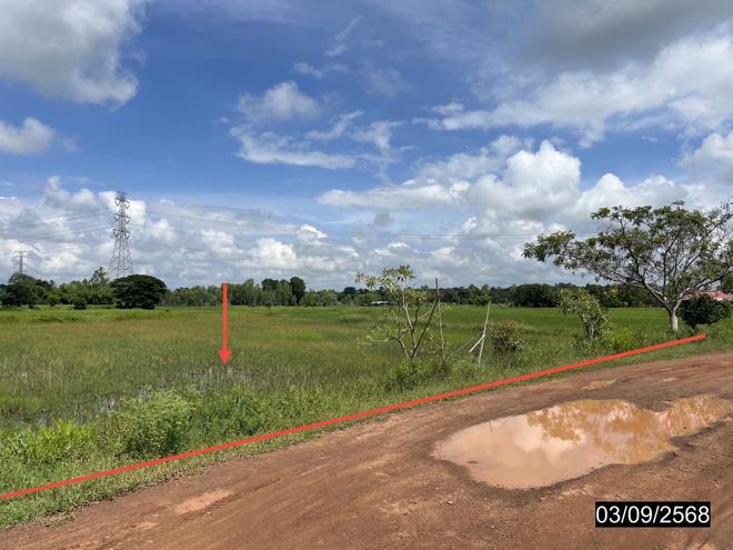 Real Estate from Banks _photo