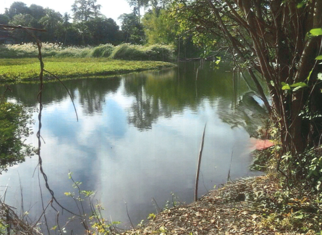 Real Estate from Banks _photo