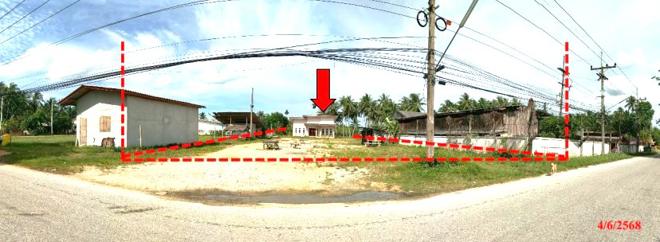 02 บ้านเดี่ยว | ปัตตานี ไม้แก่น ไทรทอง | 02-88-17174