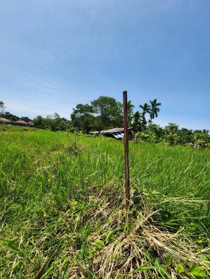 Real Estate from Banks _photo