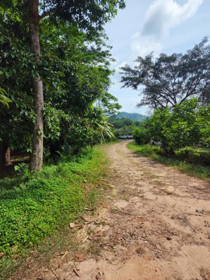 Real Estate from Banks _photo