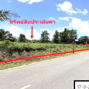 01 ที่ดินว่างเปล่า | สงขลา รัตภูมิ คูหาใต้ | 01-88-12604