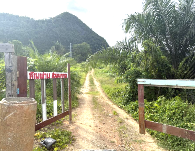 Real Estate from Banks _photo