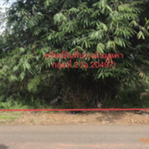 01 ที่ดินว่างเปล่า | สุราษฎร์ธานี เมืองสุราษฎร์ธานี มะขามเตี้ย | 01-66-02299