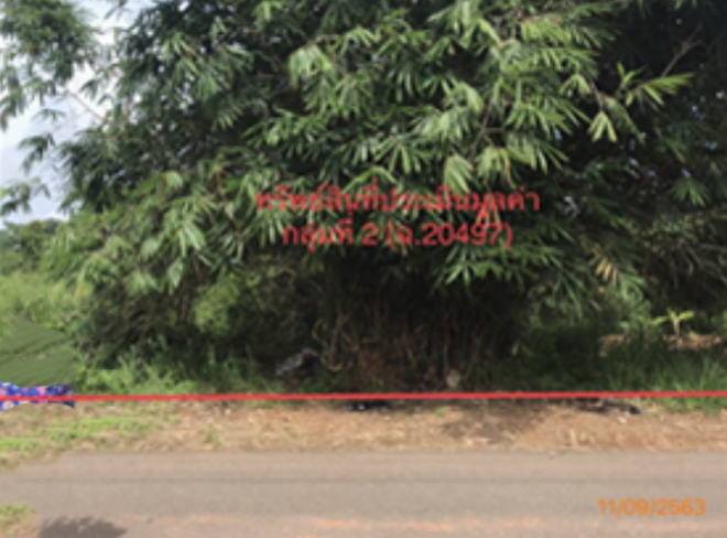 Real Estate from Banks _photo