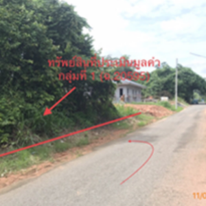 01 ที่ดินว่างเปล่า | สุราษฎร์ธานี เมืองสุราษฎร์ธานี มะขามเตี้ย | 01-66-02301