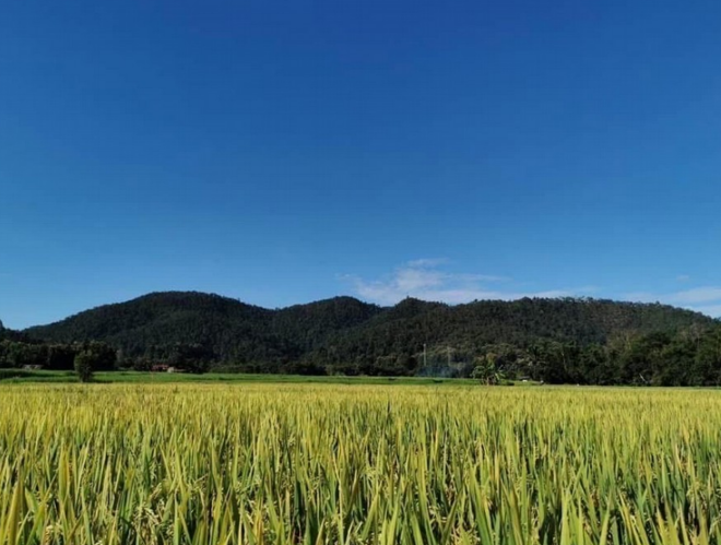 Real Estate from Banks _photo