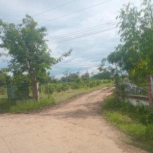 01 ที่ดินว่างเปล่า | อุบลราชธานี เดชอุดม นาเจริญ | 01-66-02305