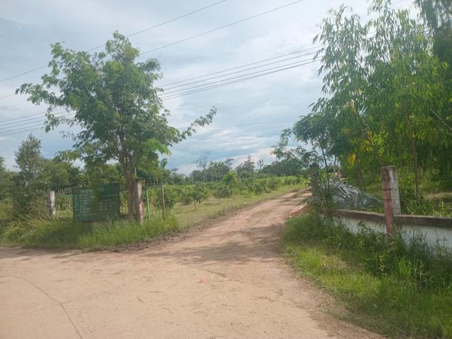 Real Estate from Banks _photo