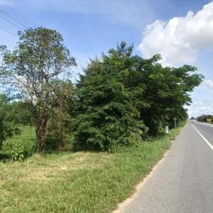 01 ที่ดินว่างเปล่า | ร้อยเอ็ด เมืองร้อยเอ็ด สีแก้ว | 01-66-02307