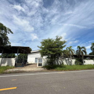 12 โกดัง | พิจิตร บางมูลนาก บางมูลนาก | 12-66-01385