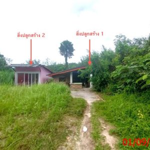 02 บ้านเดี่ยว | สงขลา สะบ้าย้อย เขาแดง | 02-88-17567