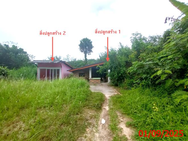 02 บ้านเดี่ยว | สงขลา สะบ้าย้อย เขาแดง | 02-88-17567