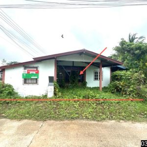 02 บ้านเดี่ยว | อำนาจเจริญ เมืองอำนาจเจริญ ไก่คำ | 02-88-17191