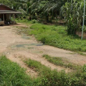 02 บ้านเดี่ยว | สุราษฎร์ธานี คีรีรัฐนิคม น้ำหัก | 02-66-05710