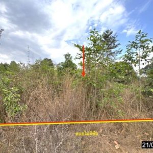 01 ที่ดินว่างเปล่า | อุบลราชธานี เมืองอุบลราชธานี แจระแม | 01-88-12610