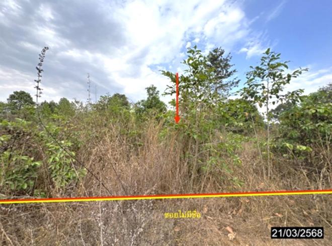 Real Estate from Banks _photo