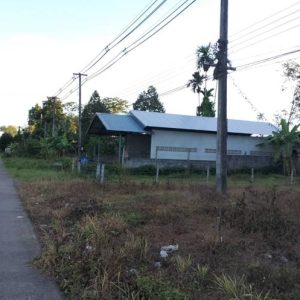 12 โกดัง | ตรัง เมืองตรัง บ้านโพธิ์ | 12-66-01388