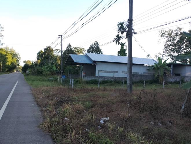 12 โกดัง | ตรัง เมืองตรัง บ้านโพธิ์ | 12-66-01388