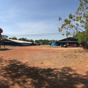 13 ฟาร์ม | ปราจีนบุรี ศรีมหาโพธิ หนองโพรง | 13-66-00062