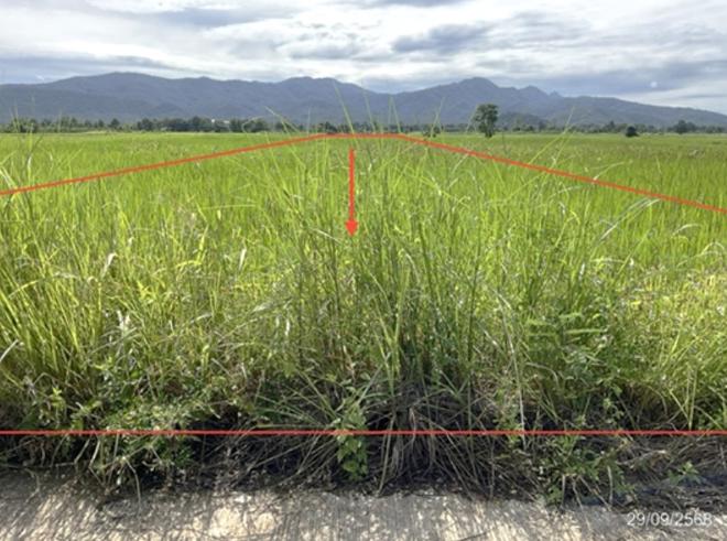 Real Estate from Banks _photo