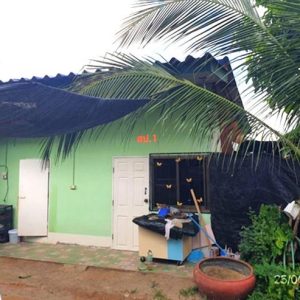 02 บ้านเดี่ยว | ลำปาง เมืองลำปาง ชมพู | 02-88-18013