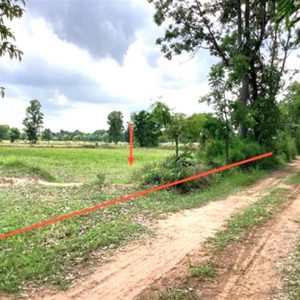 01 ที่ดินว่างเปล่า | นครราชสีมา บัวลาย เมืองพะไล | 01-88-12611