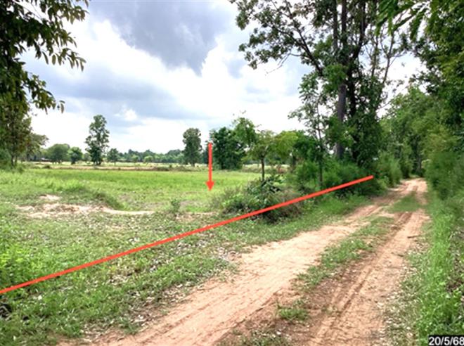 Real Estate from Banks _photo