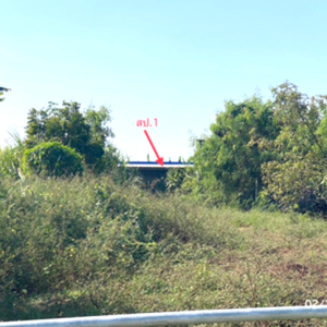 02 บ้านเดี่ยว | นครปฐม บางเลน บางเลน | 02-88-18009