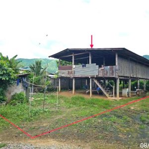 02 บ้านเดี่ยว | เพชรบูรณ์ เมืองเพชรบูรณ์ นาป่า | 02-88-17659