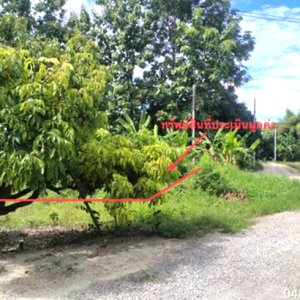 01 ที่ดินว่างเปล่า | เชียงใหม่ จอมทอง ข่วงเปา | 01-88-12613
