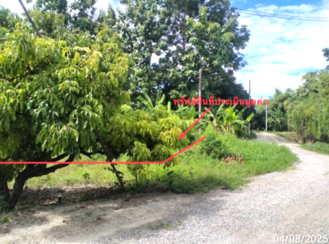 Real Estate from Banks _photo