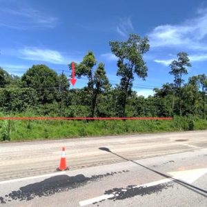01 ที่ดินว่างเปล่า | บึงกาฬ เมืองบึงกาฬ วิศิษฐ์ | 01-88-12510
