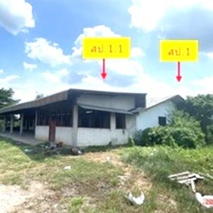 14 บ้านพักคนงาน | อ่างทอง ป่าโมก สายทอง | 14-88-00032