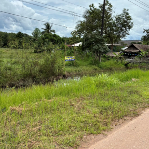 01 ที่ดินว่างเปล่า | นครพนม ท่าอุเทน เวินพระบาท | 01-66-02312