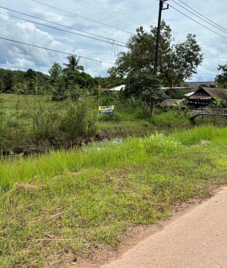 Real Estate from Banks _photo