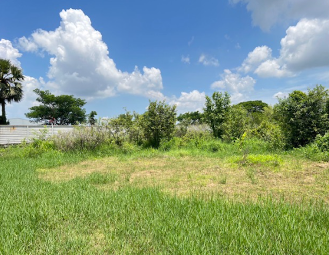 Real Estate from Banks _photo