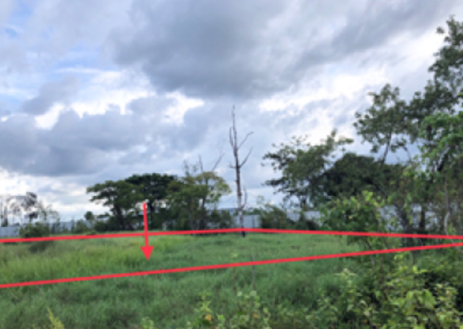 Real Estate from Banks _photo