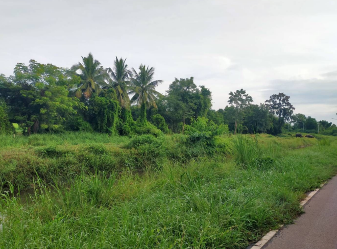 Real Estate from Banks _photo