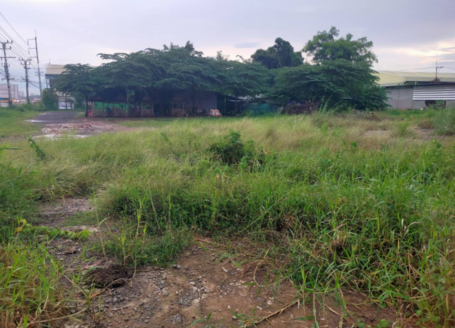 Real Estate from Banks _photo