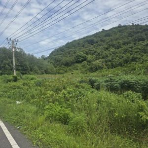 01 ที่ดินว่างเปล่า | สงขลา เมืองสงขลา พะวง | 01-66-02316