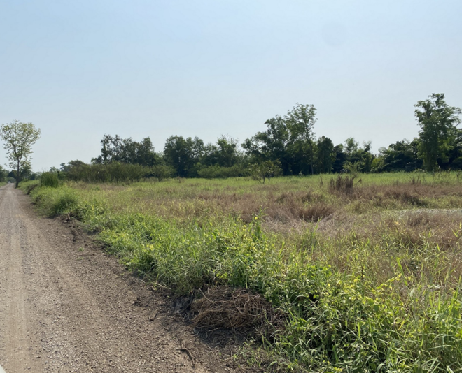 Real Estate from Banks _photo