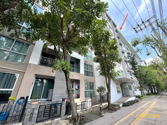 05 คอนโดมิเนียม | กรุงเทพมหานคร เขตสวนหลวง สวนหลวง | 05-88-03375