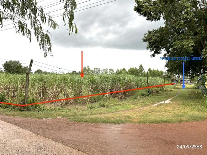 Real Estate from Banks _photo