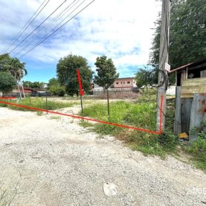 01 ที่ดินว่างเปล่า | ชลบุรี บางละมุง นาเกลือ | 01-88-12551